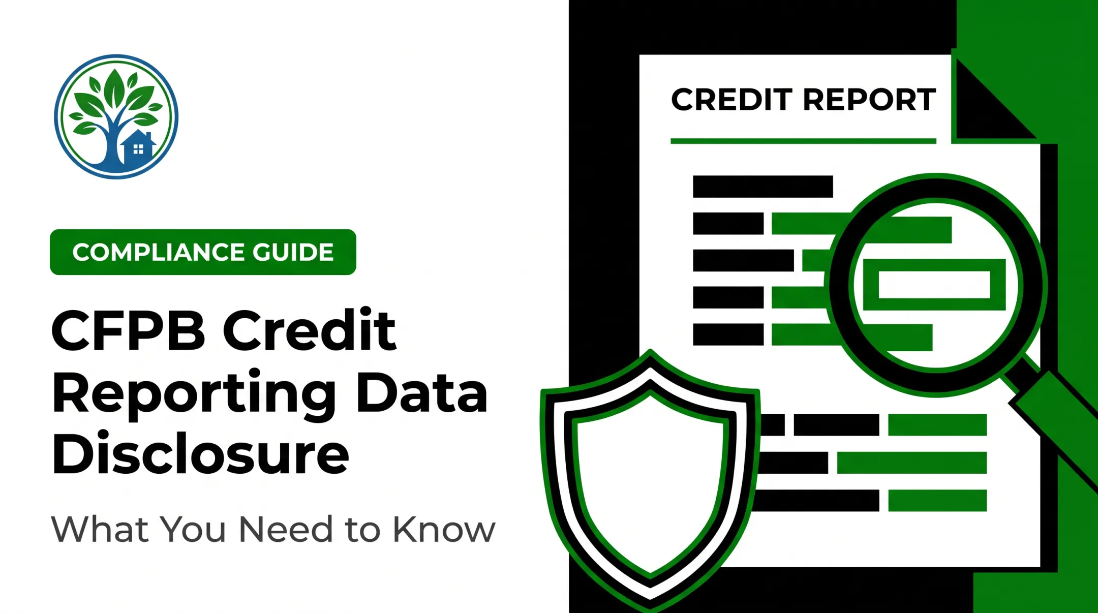 CFPB Credit Reporting Data Disclosure: What You Need to Know