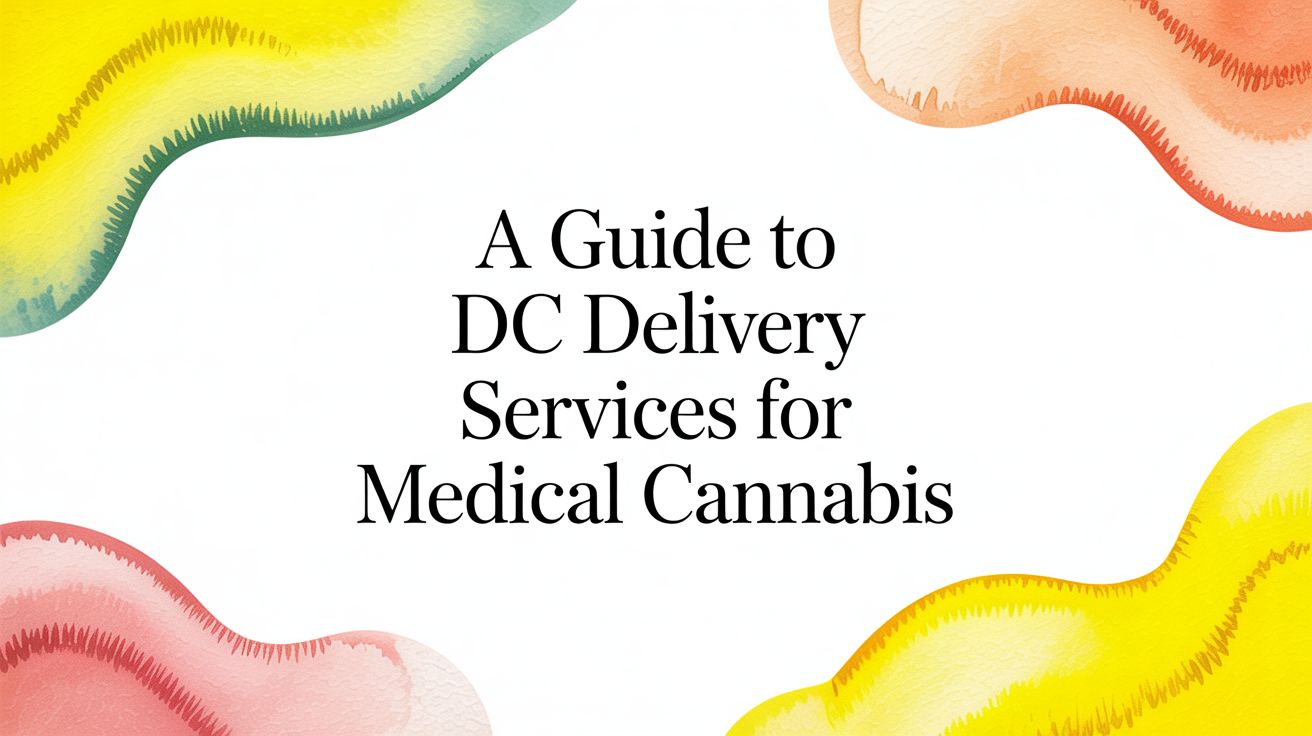 A Guide to DC Delivery Services for Medical Cannabis