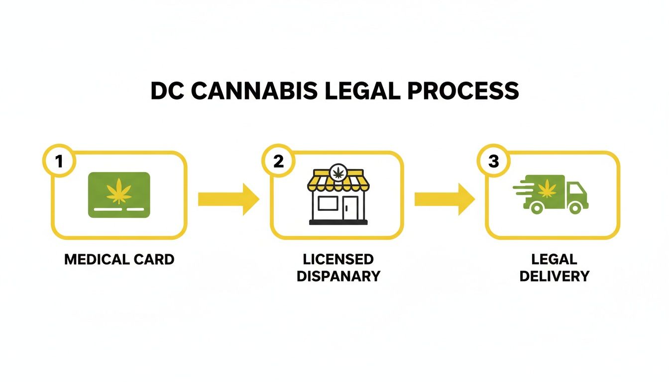 Flowchart illustrating the DC cannabis legal process: obtaining a medical card, visiting a licensed dispensary, and legal delivery.