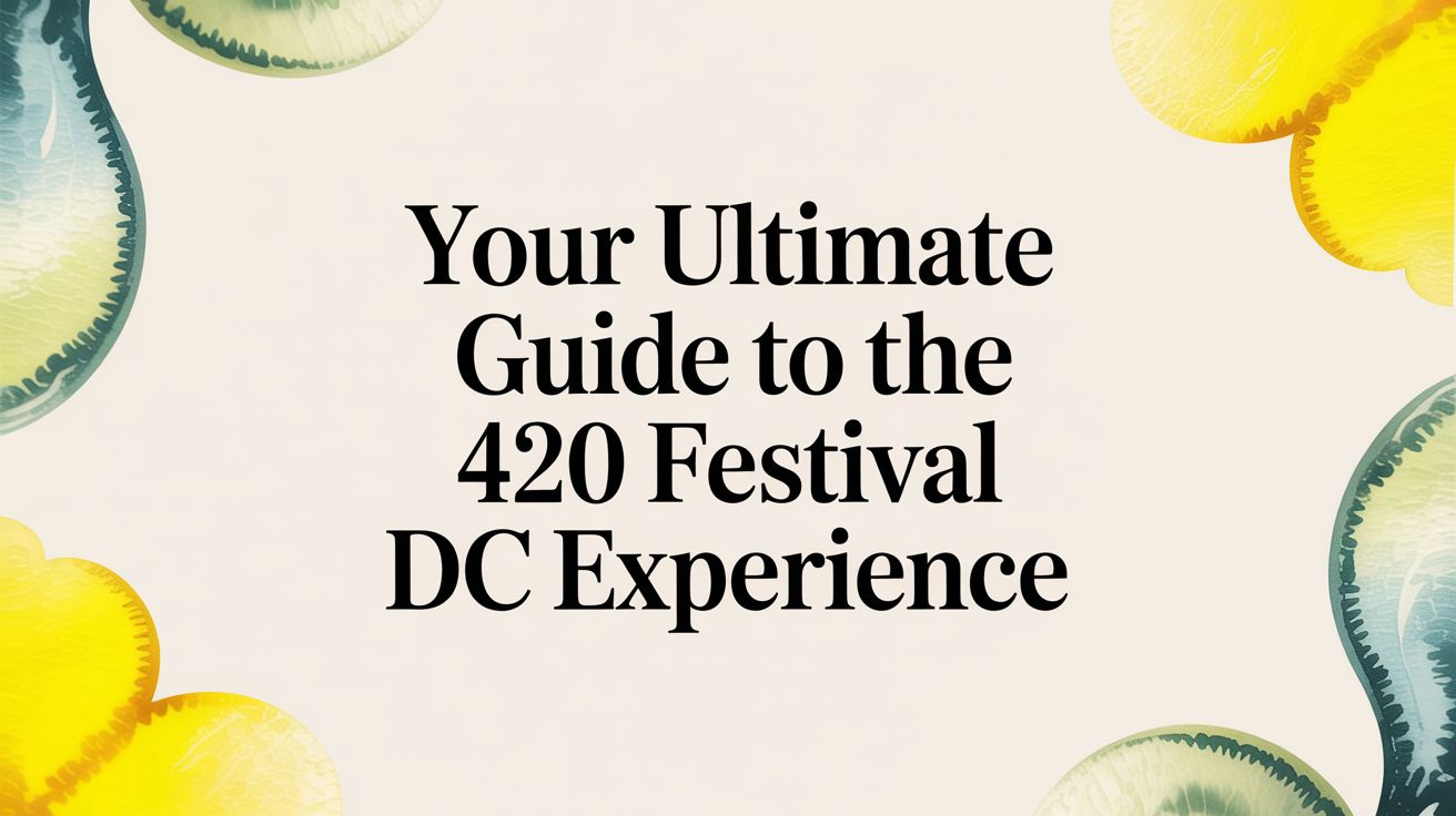 Your Ultimate Guide to the 420 Festival DC Experience