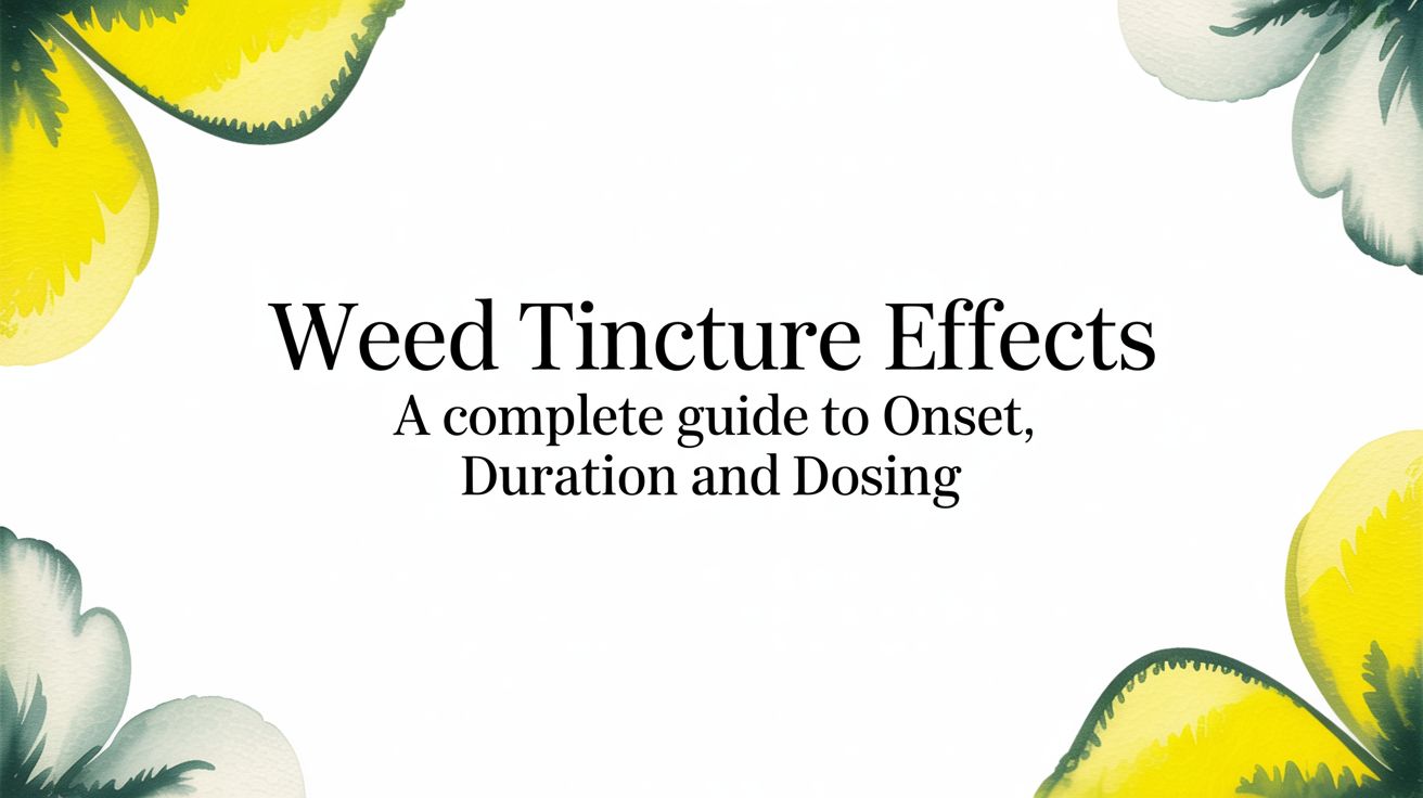 Weed Tincture Effects A Complete Guide to Onset Duration and Dosing