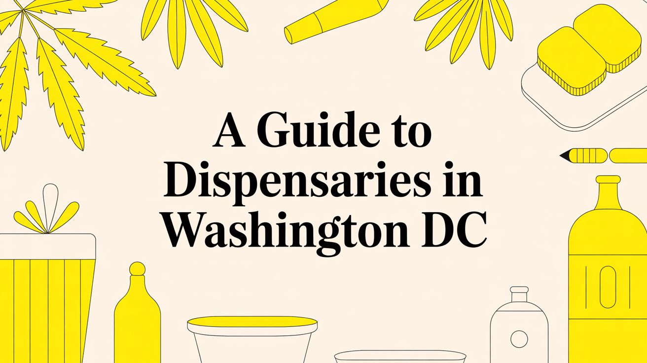 A Guide to Dispensaries in Washington DC