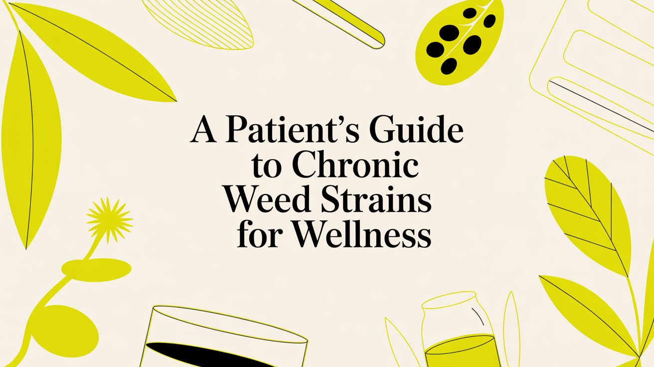 A Patient's Guide to Chronic Weed Strains for Wellness