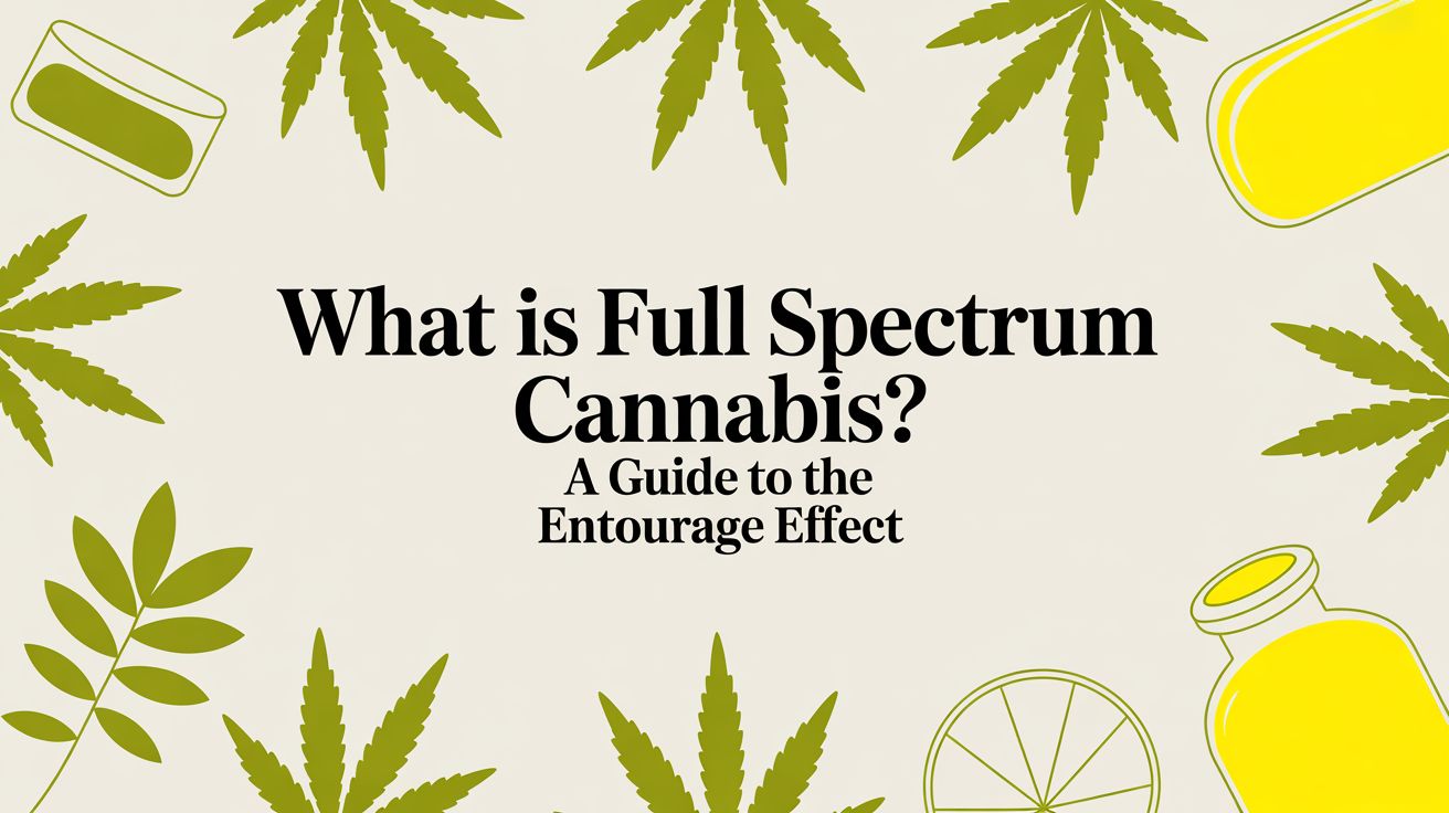 What is full spectrum cannabis? A Guide to the Entourage Effect