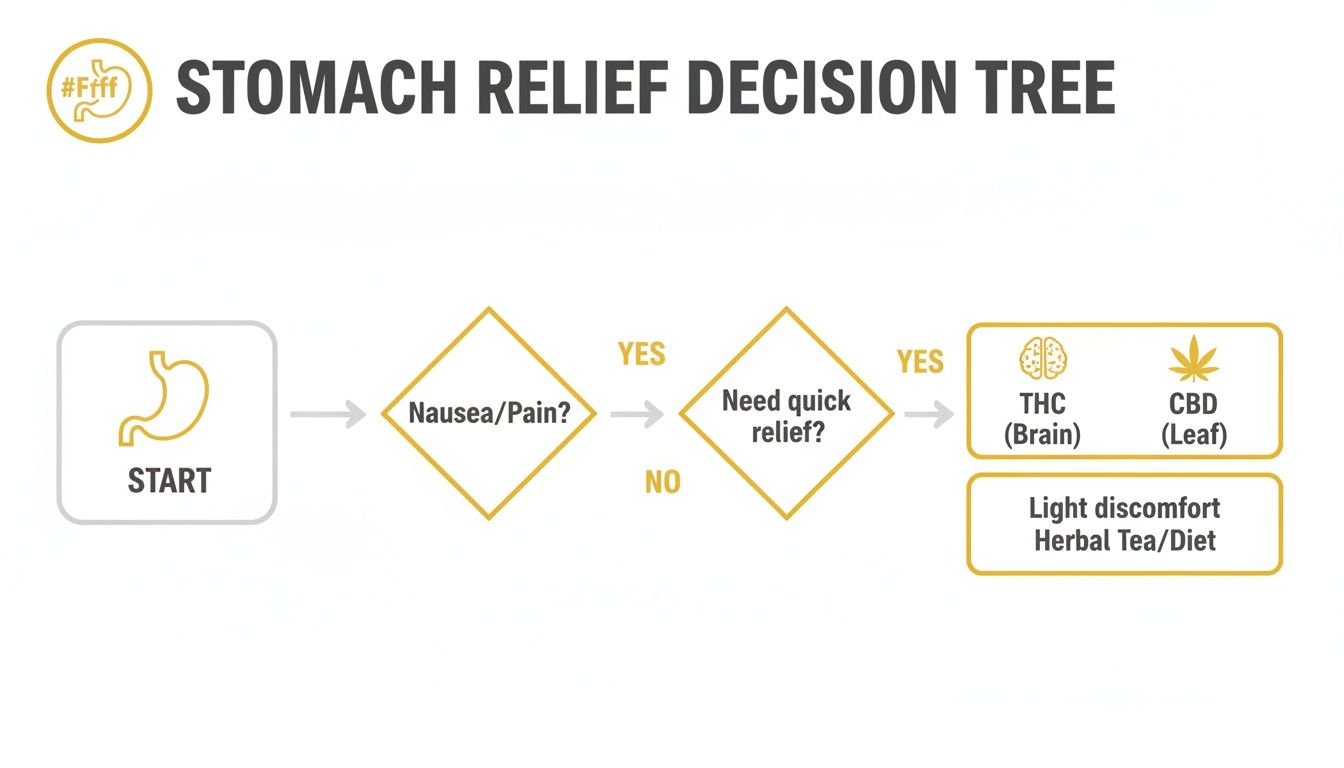 Decision tree for stomach relief, guiding users on options including THC, CBD, herbal tea, or diet.