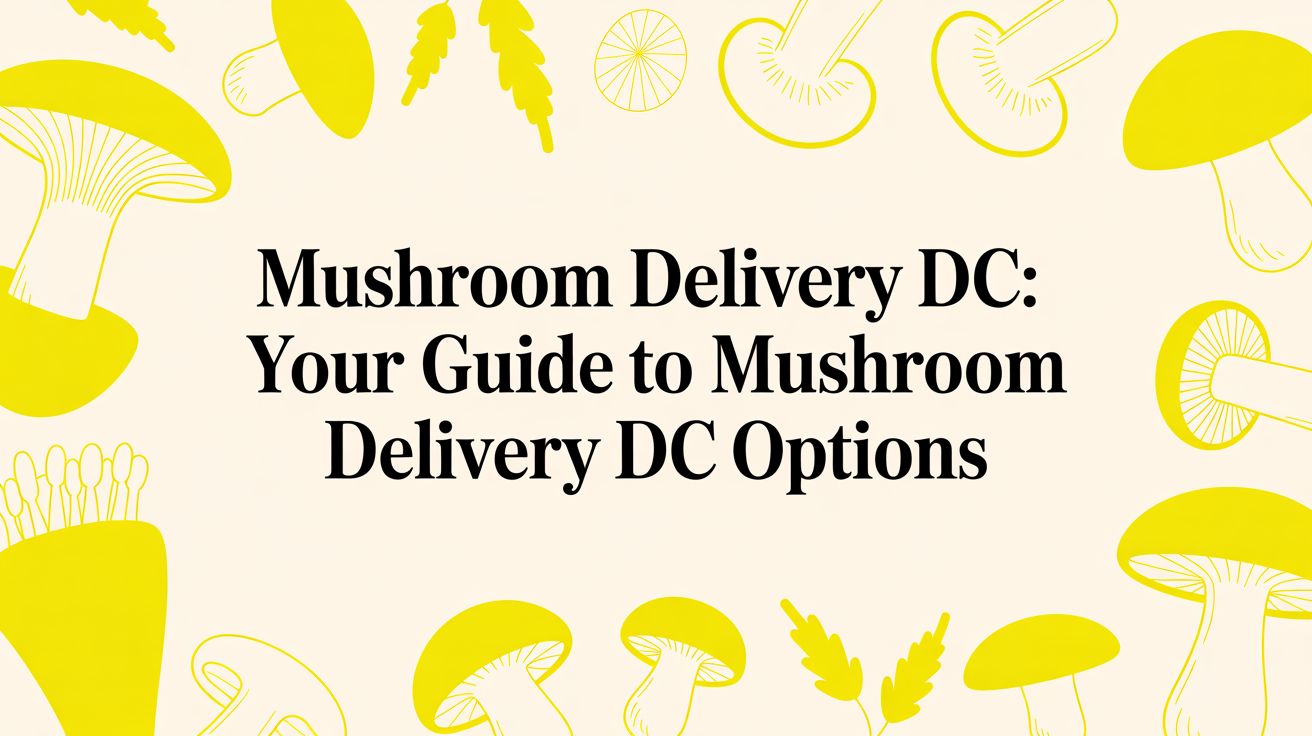 Mushroom Delivery DC: Your Guide to mushroom delivery dc Options