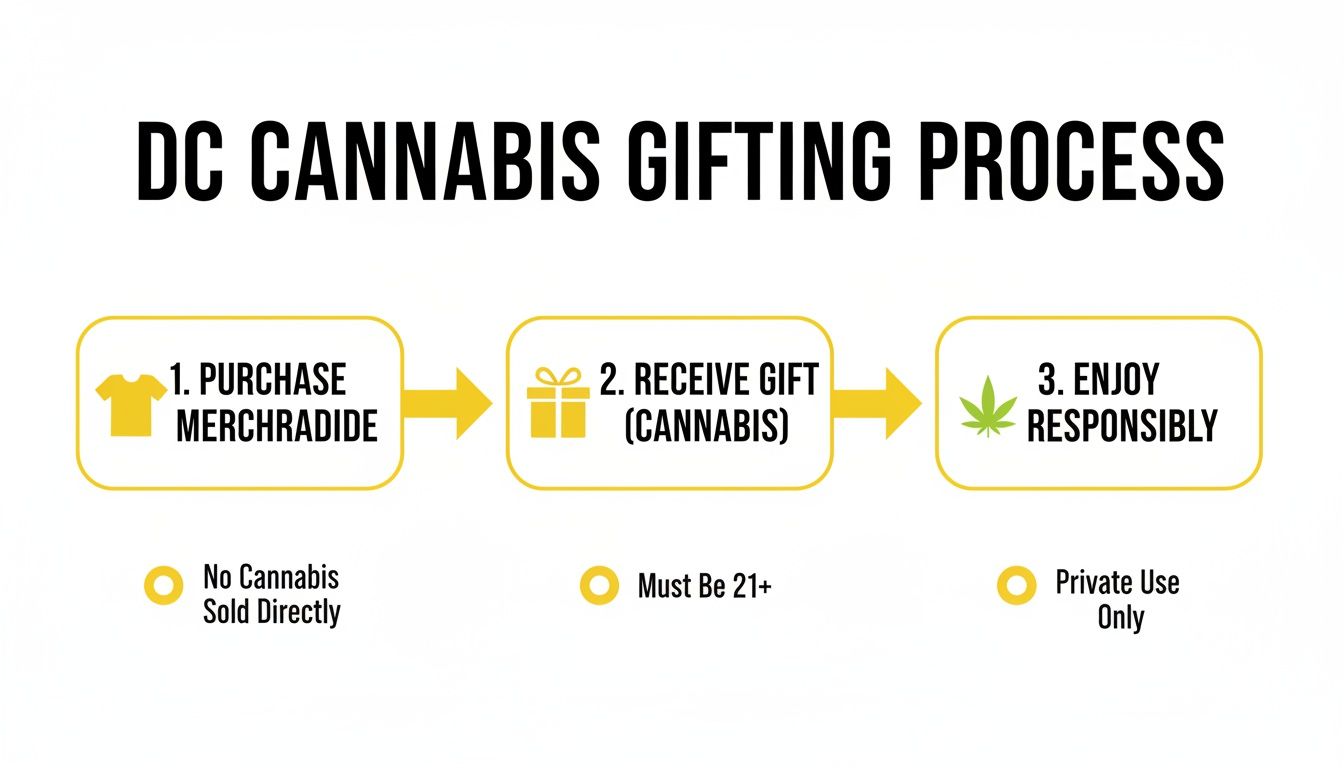 Flowchart illustrating the DC cannabis gifting process: purchase merchandise, receive cannabis gift, enjoy responsibly.