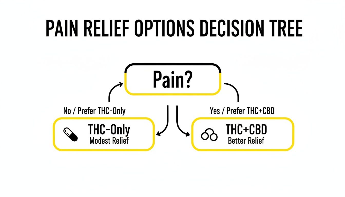 Decision tree illustrating pain relief options: THC-Only for modest relief or THC+CBD for better relief.