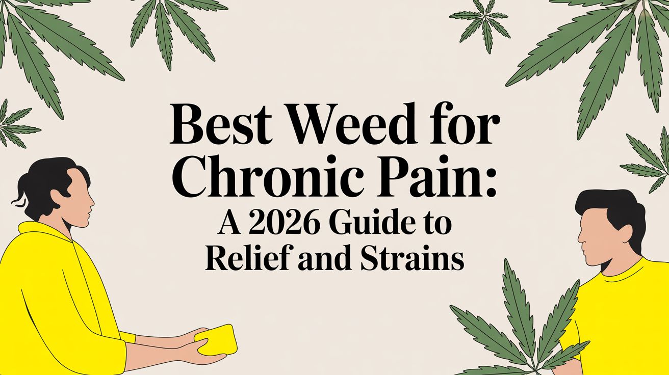 Best weed for chronic pain: A 2026 guide to relief and strains