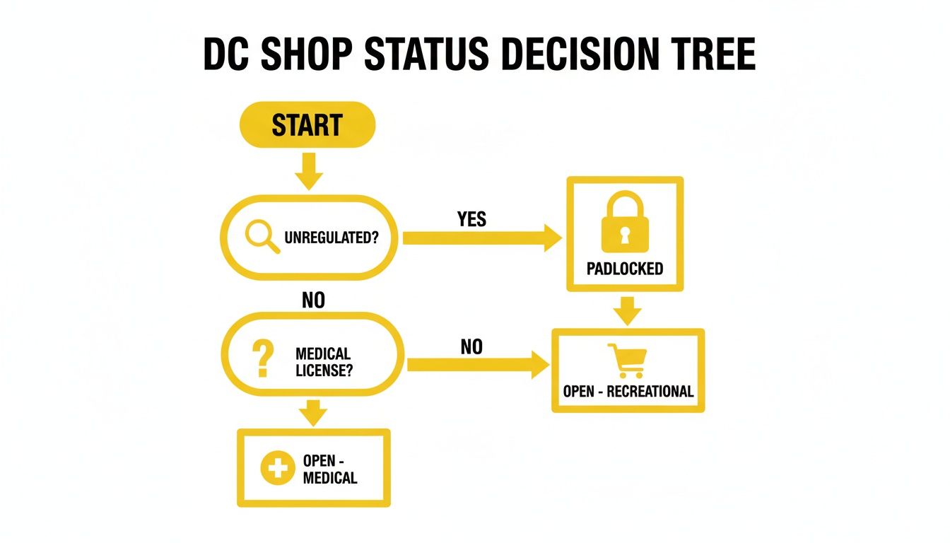 A decision tree flowchart for DC shop status, outlining paths from start to outcomes like padlocked, open-recreational, or open-medical.