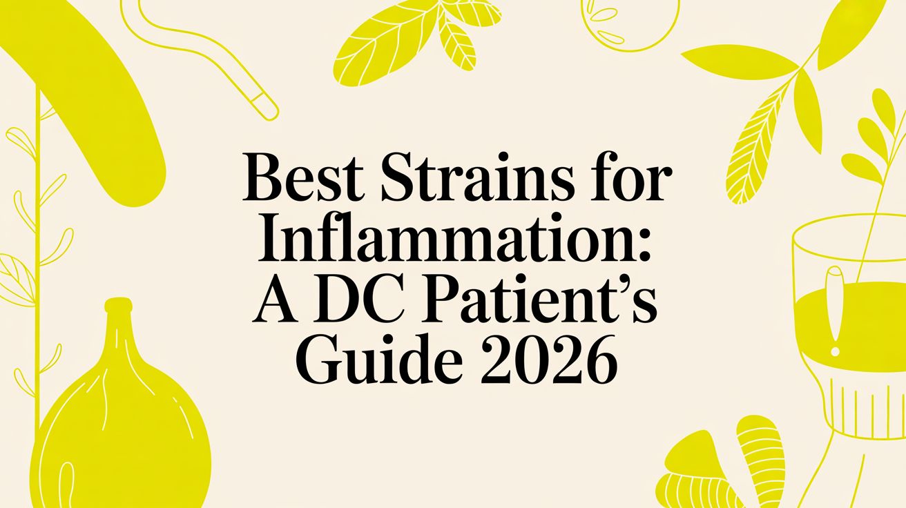 Best Strains for Inflammation: A DC Patient's Guide 2026
