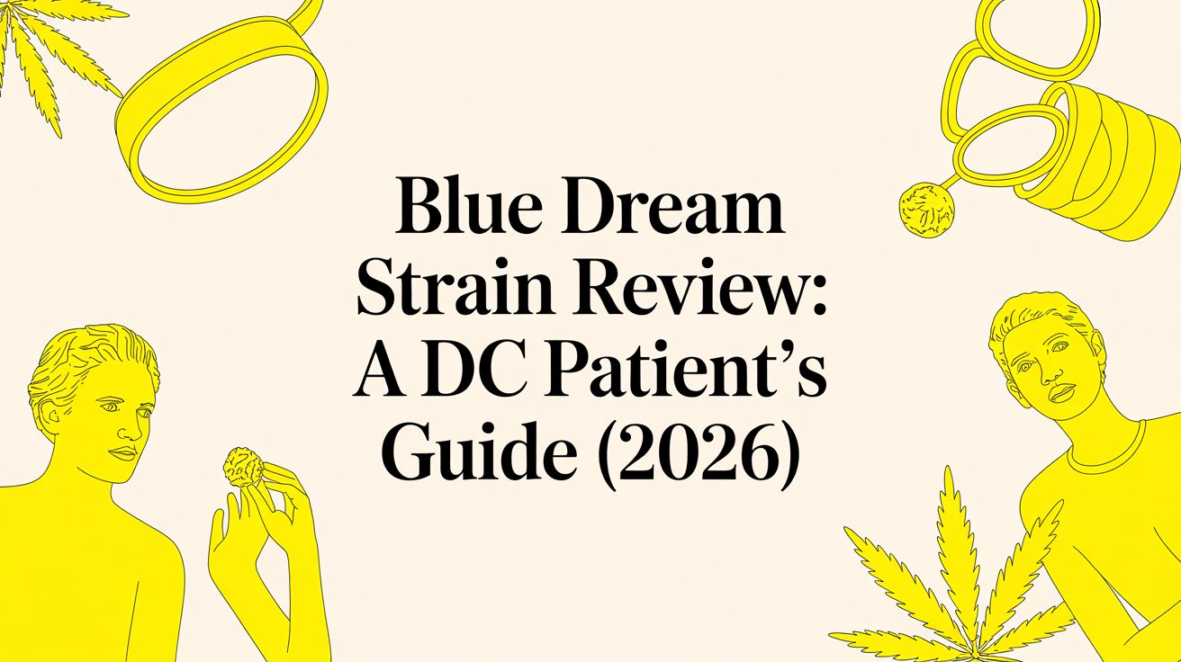 Blue Dream Strain Review: A DC Patient's Guide (2026)