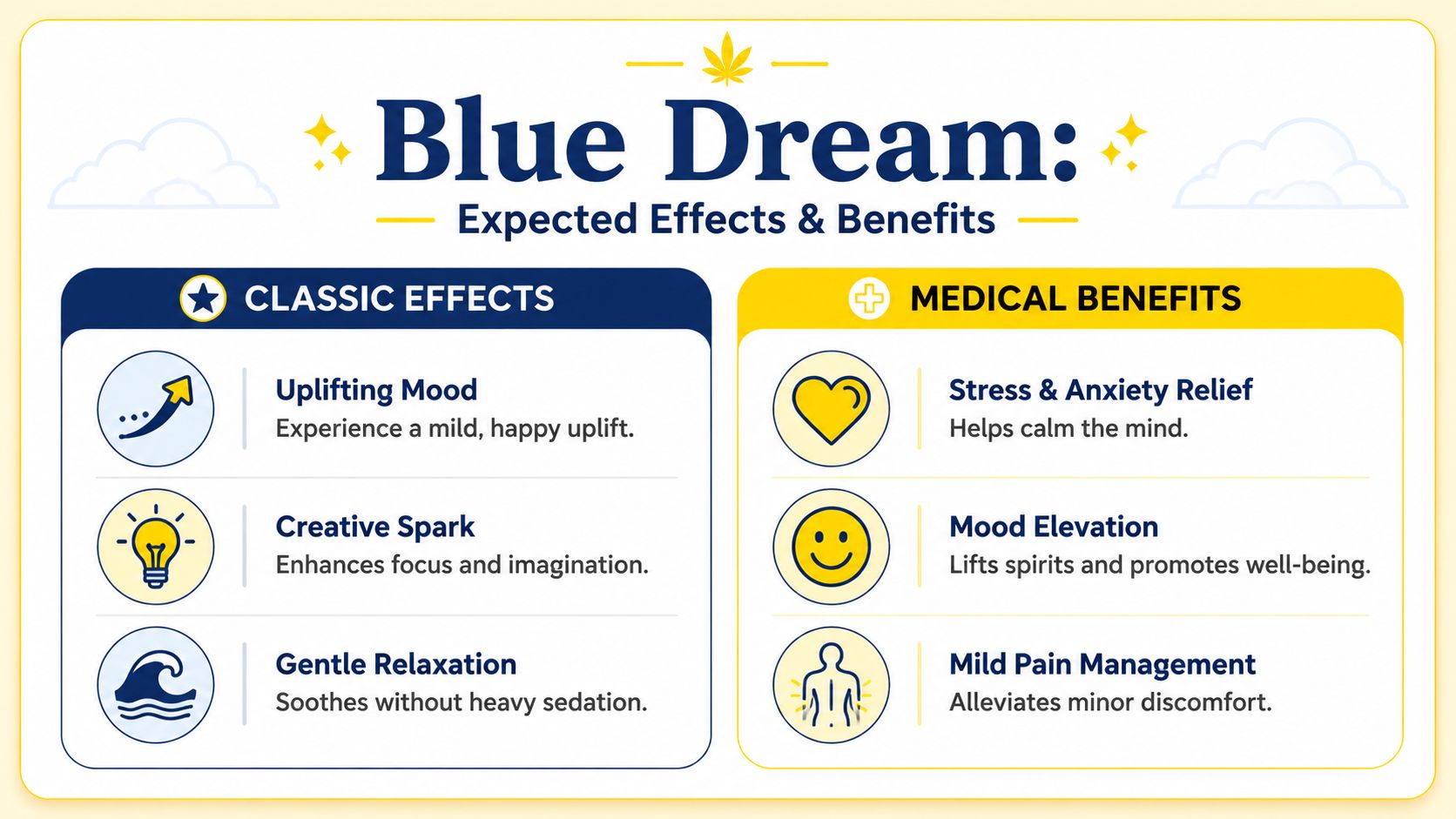 An infographic detailing the common effects and medical benefits of the Blue Dream cannabis strain.