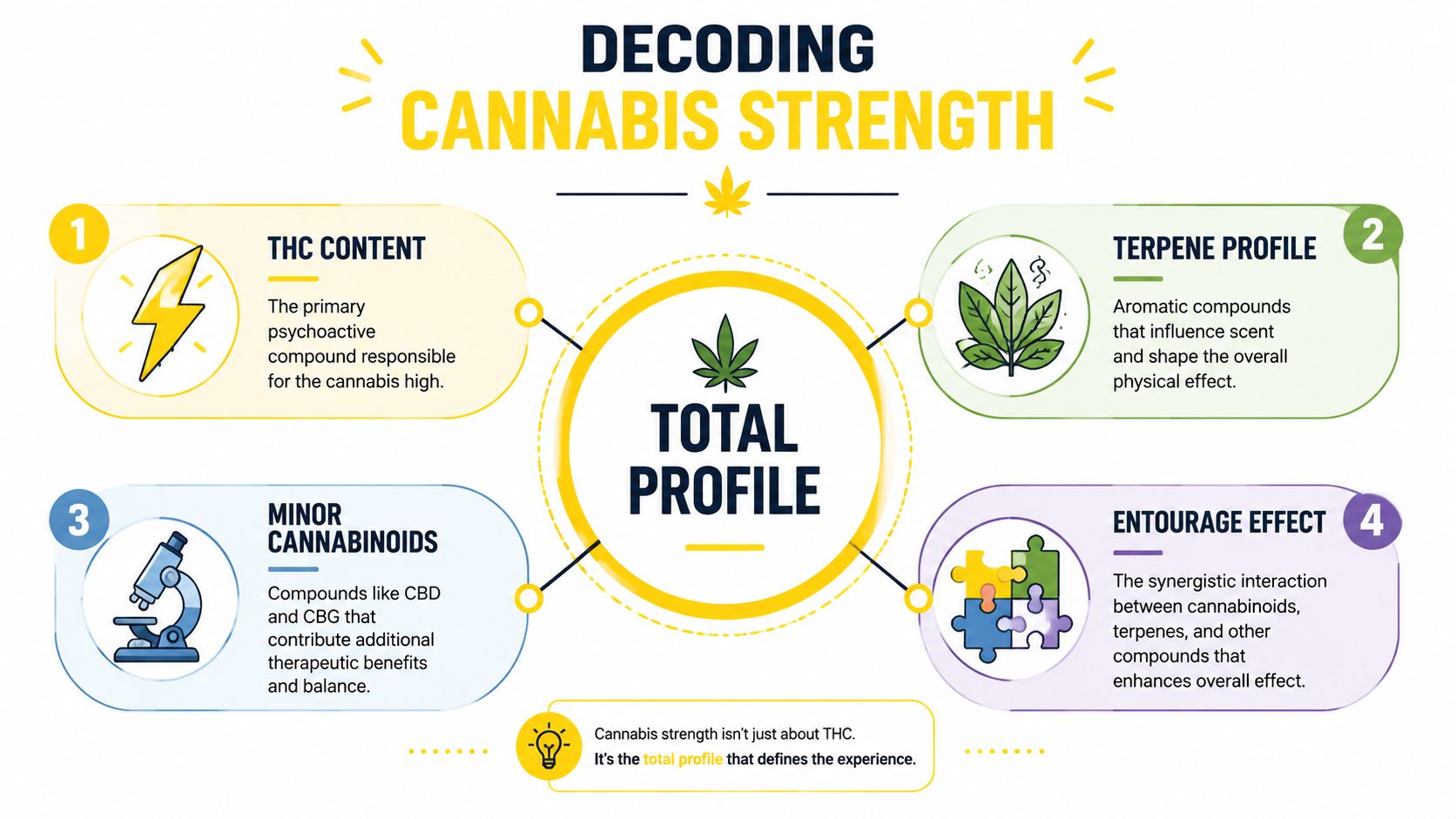 An infographic explaining that cannabis strength is determined by THC content, terpenes, minor cannabinoids, and the entourage effect.