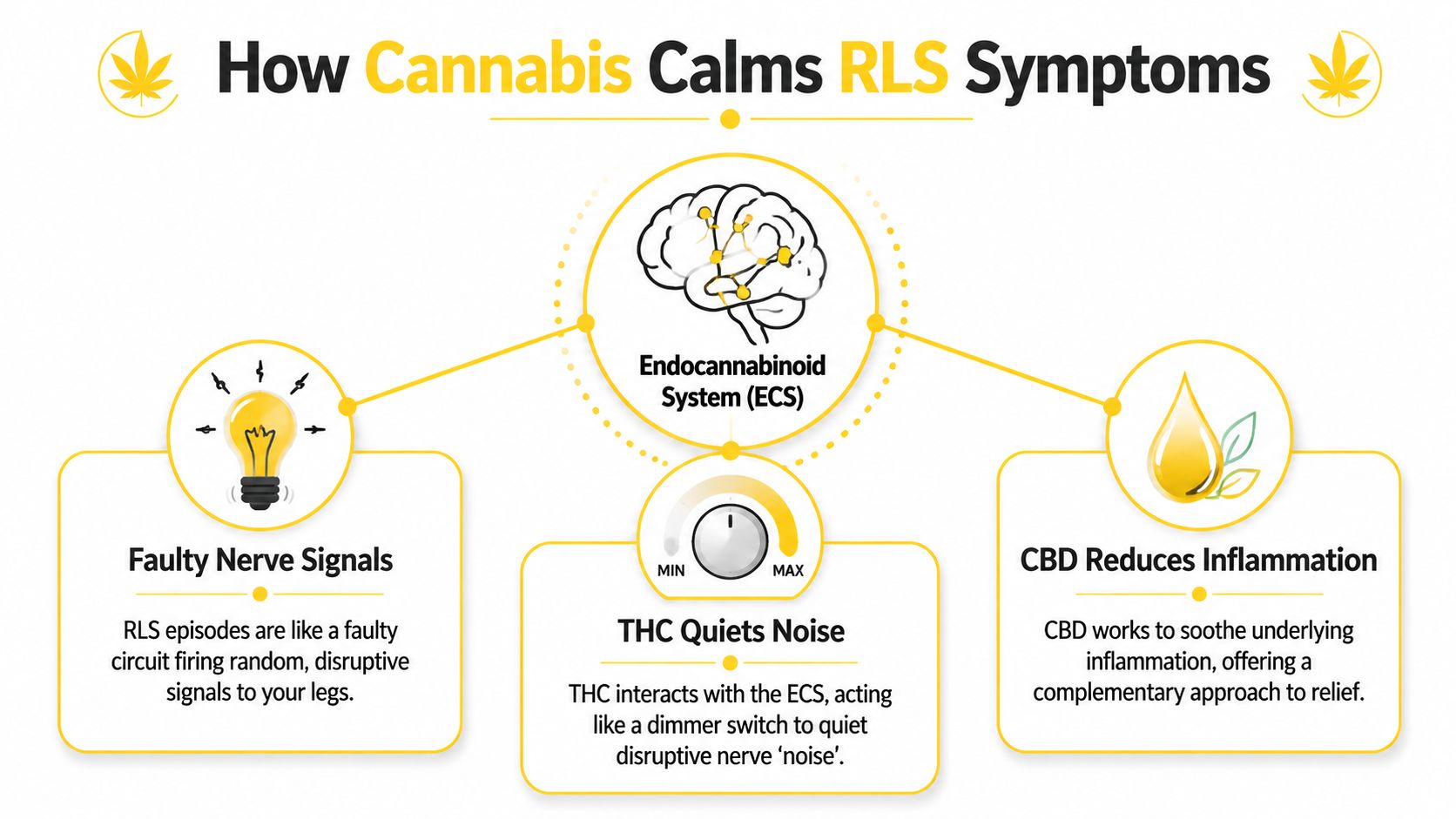 A diagram explaining how cannabis components THC and CBD interact with the endocannabinoid system to relieve RLS.