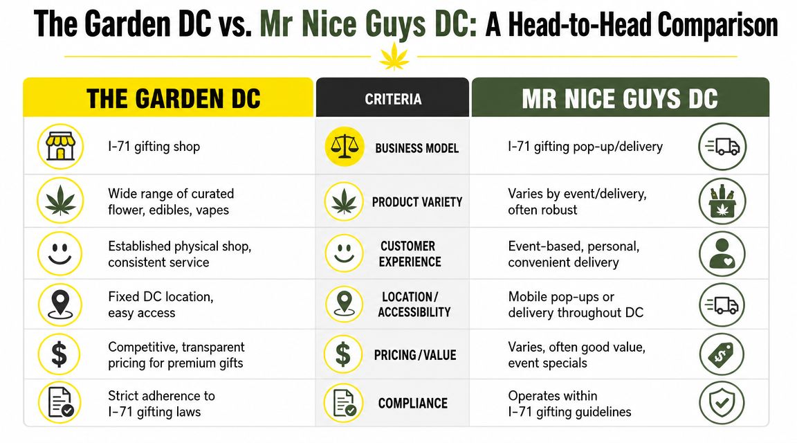 A comparison table outlining key differences between The Garden DC and Mr Nice Guys DC businesses.