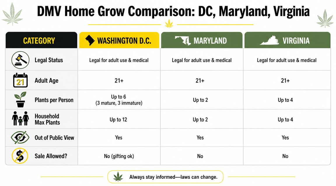 A comparison chart outlining home marijuana cultivation laws for Washington D.C., Maryland, and Virginia.