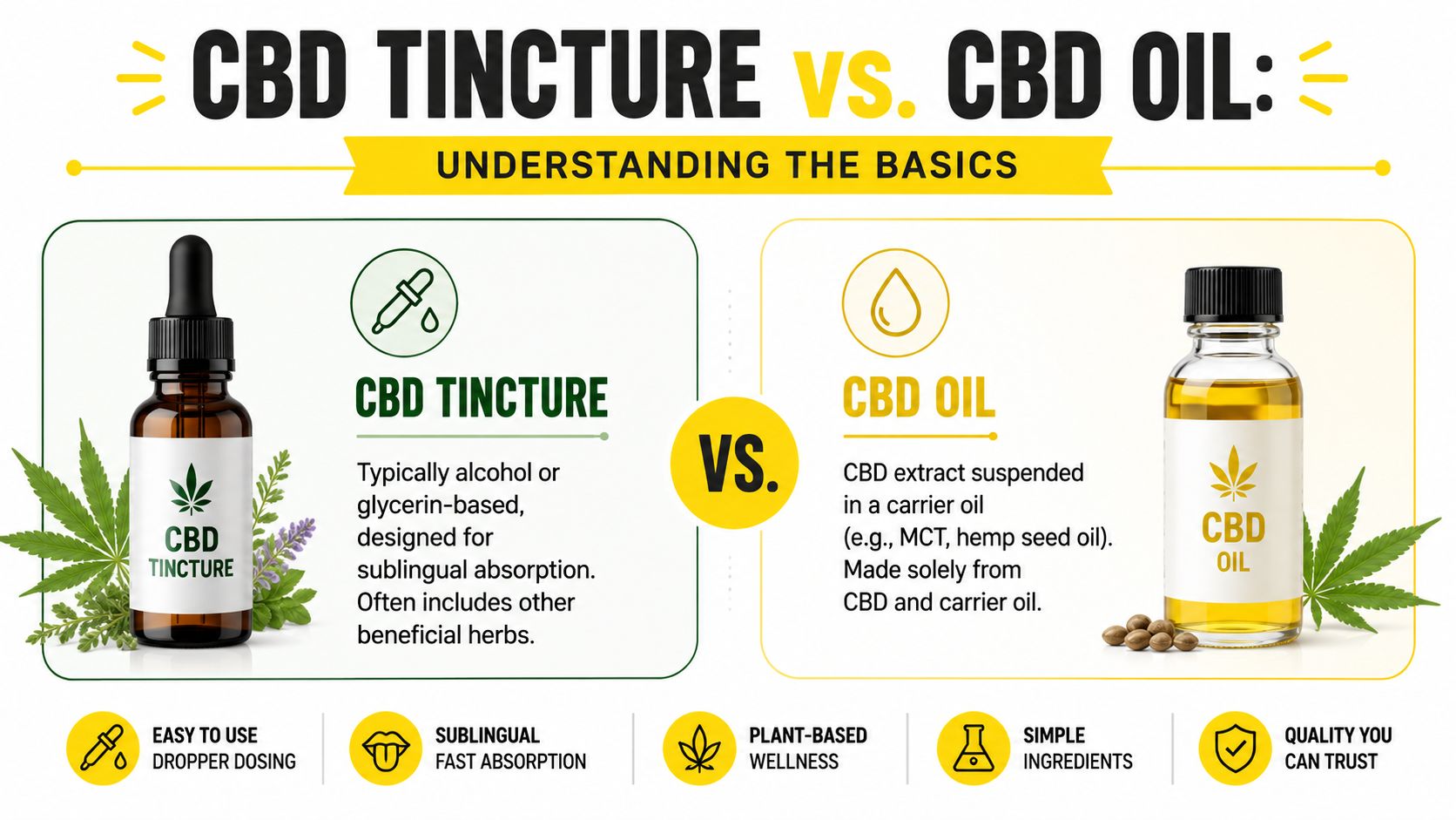 A comparison infographic showing the key differences between CBD tincture and CBD oil for health.