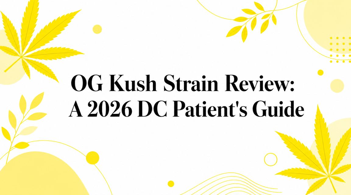 OG Kush Strain Review: A 2026 DC Patient's Guide