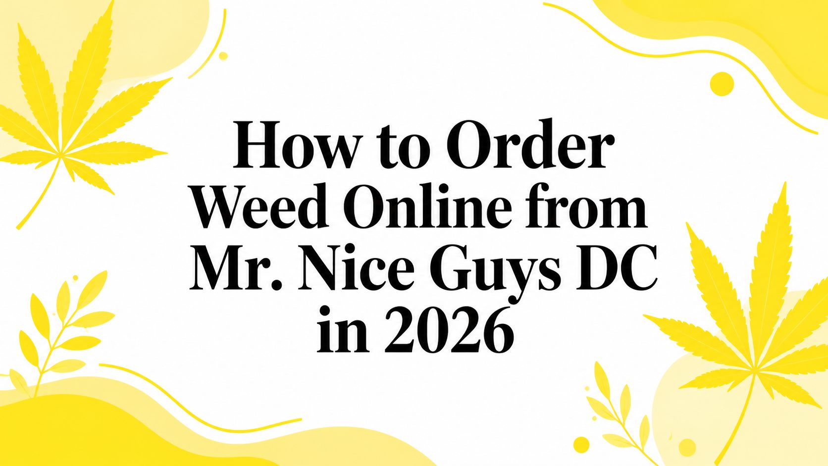 How to Order Weed Online from Mr. Nice Guys DC in 2026