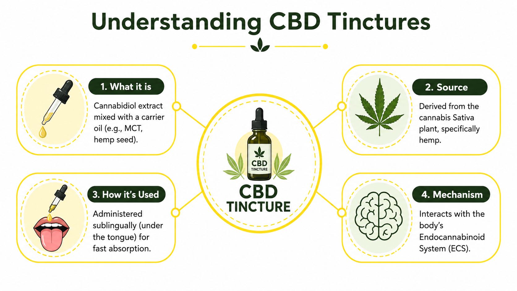 An infographic titled Understanding CBD Tinctures detailing what it is, its source, usage, and biological mechanism.