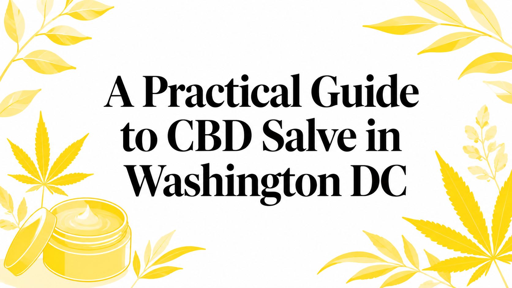 A Practical Guide to CBD Salve in Washington DC