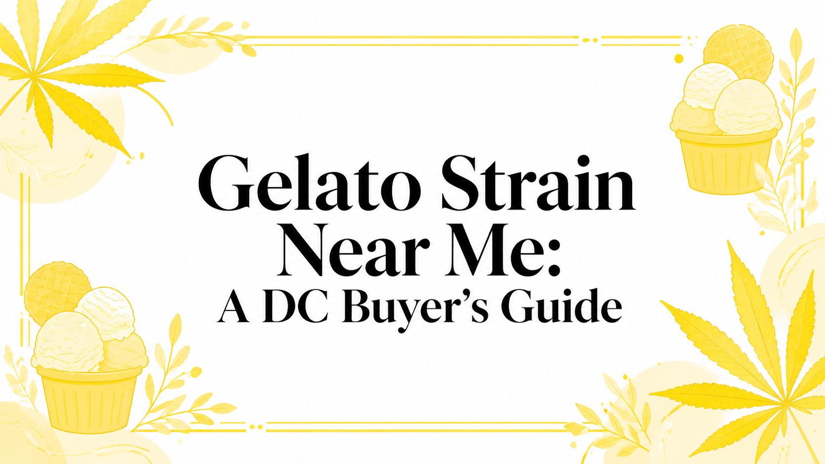 Gelato Strain Near Me: A DC Buyer's Guide