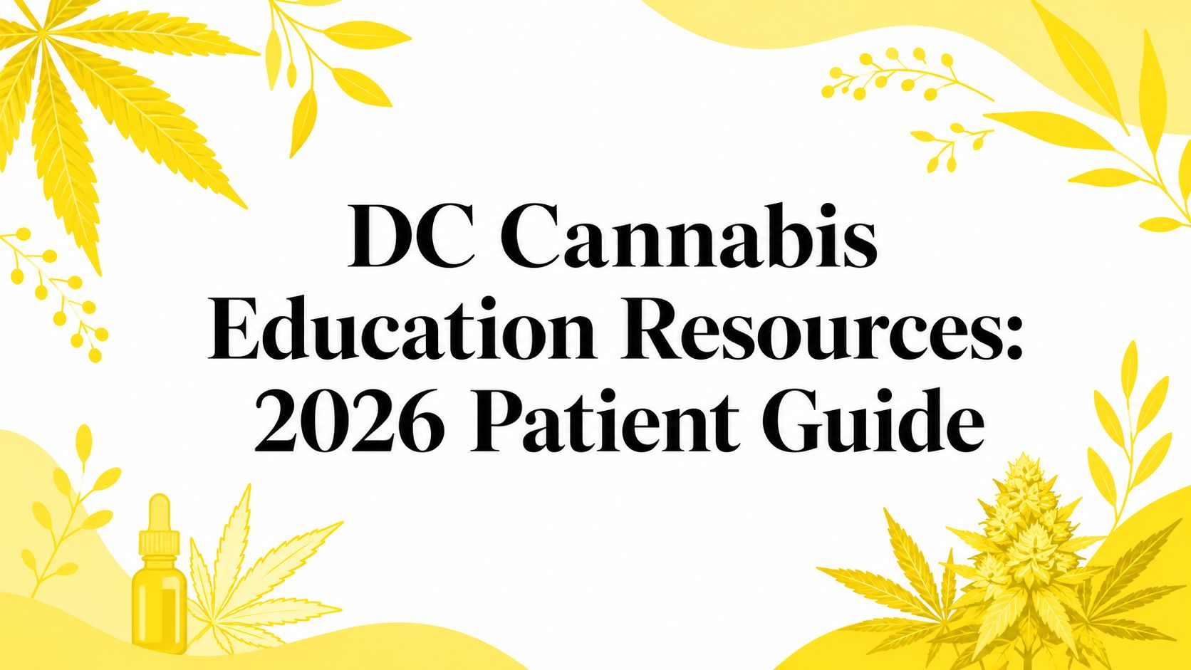 DC Cannabis Education Resources: 2026 Patient Guide
