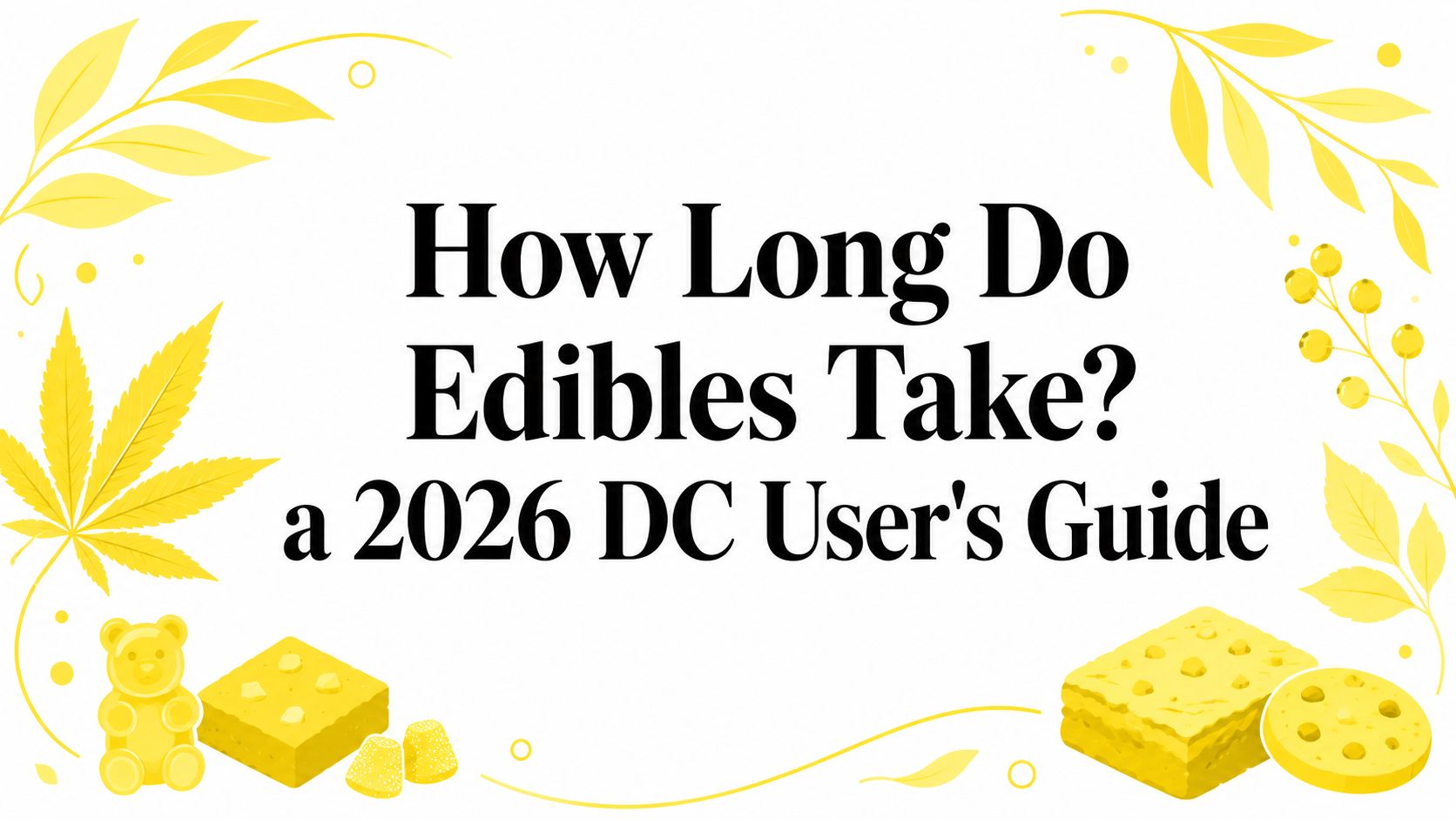 How Long Do Edibles Take? a 2026 DC User's Guide