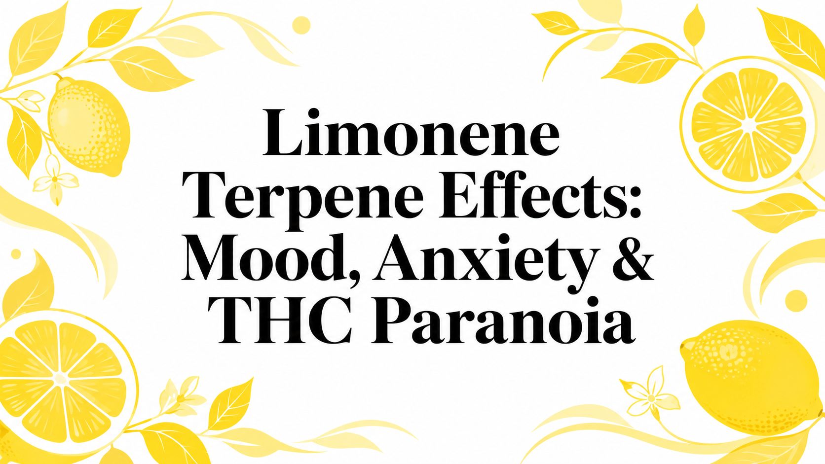 Limonene Terpene Effects: Mood, Anxiety & THC Paranoia