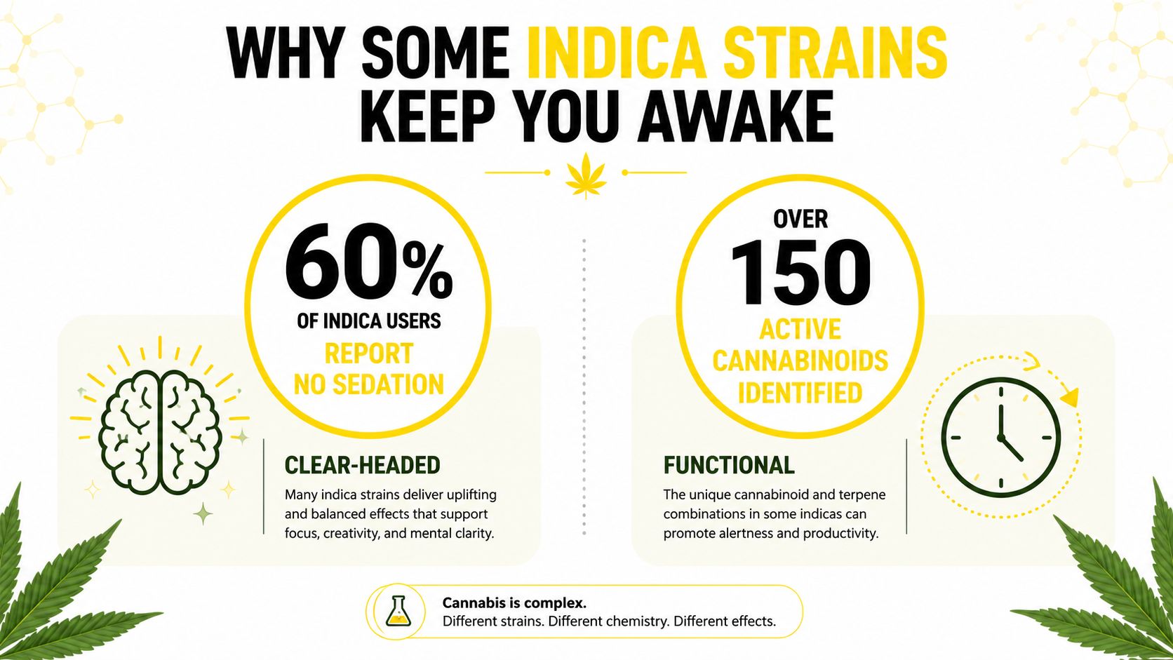 An infographic explaining why some indica cannabis strains provide alertness instead of sedation, highlighting cannabinoid complexity.