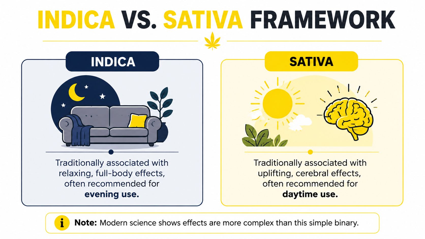 An infographic comparing indica and sativa, highlighting their traditional associations with evening relaxation and daytime cerebral effects.