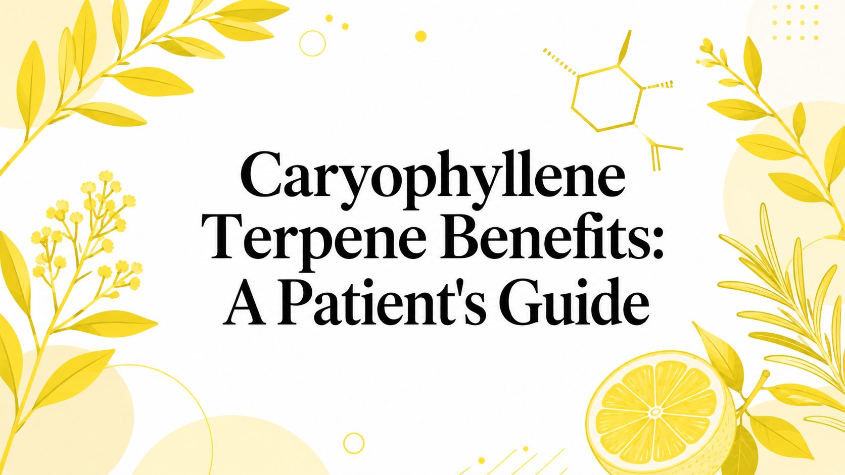 Caryophyllene Terpene Benefits: A Patient's Guide