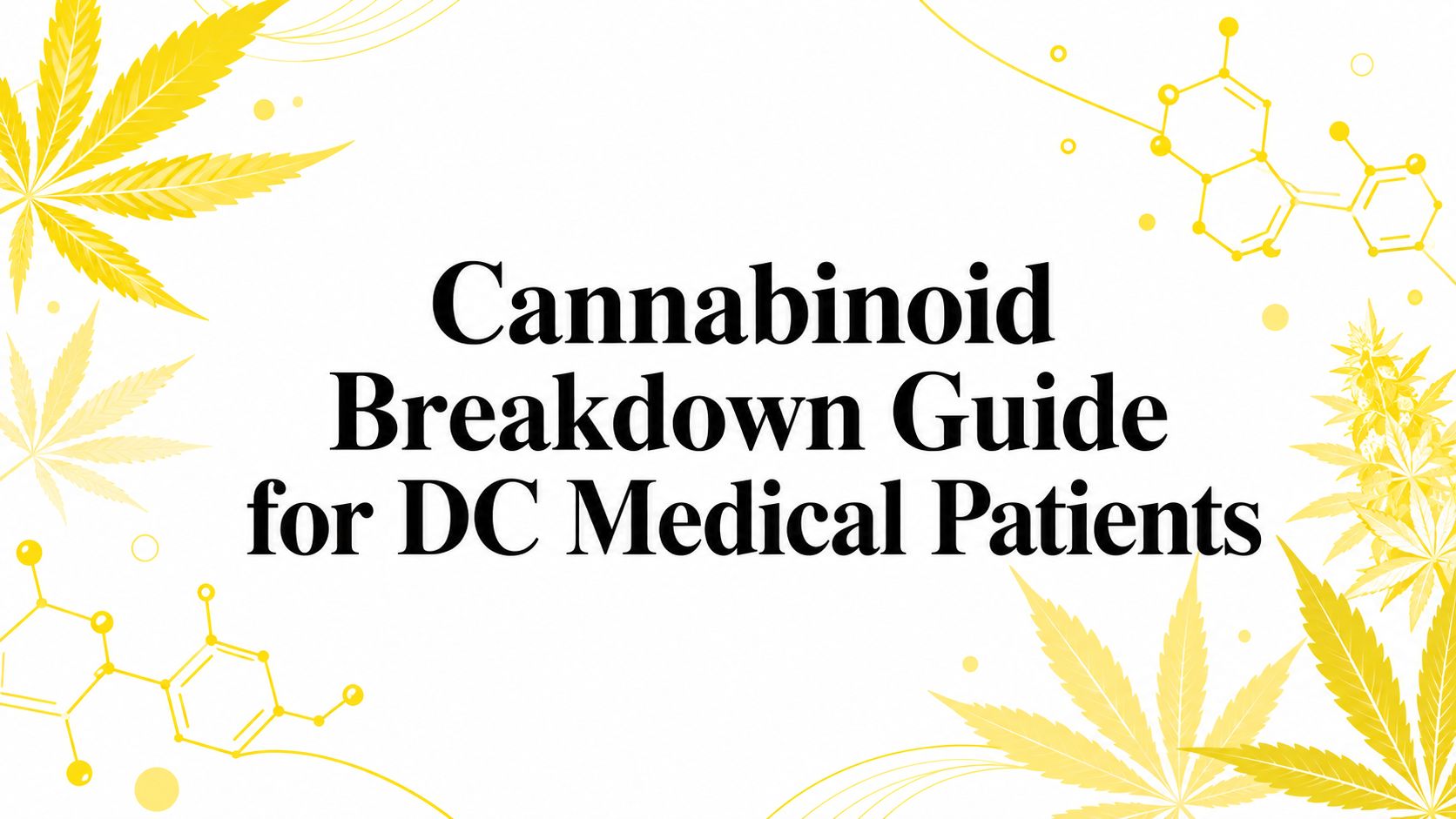 Cannabinoid Breakdown Guide for DC Medical Patients