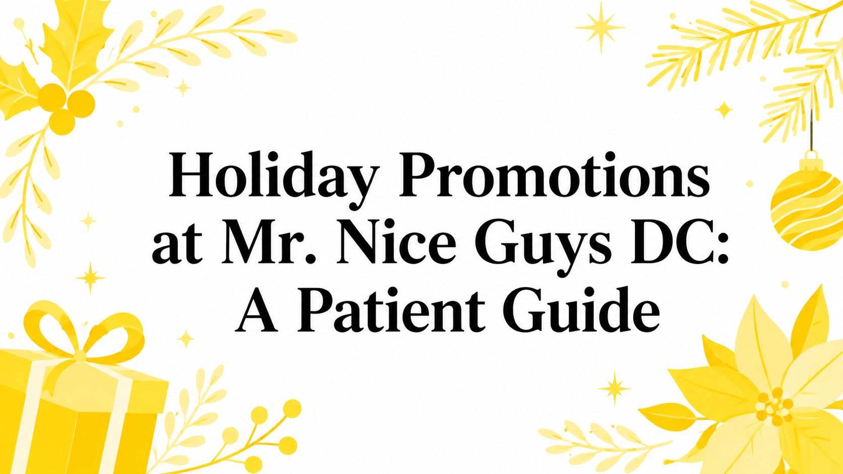 Holiday Promotions at Mr. Nice Guys DC: A Patient Guide