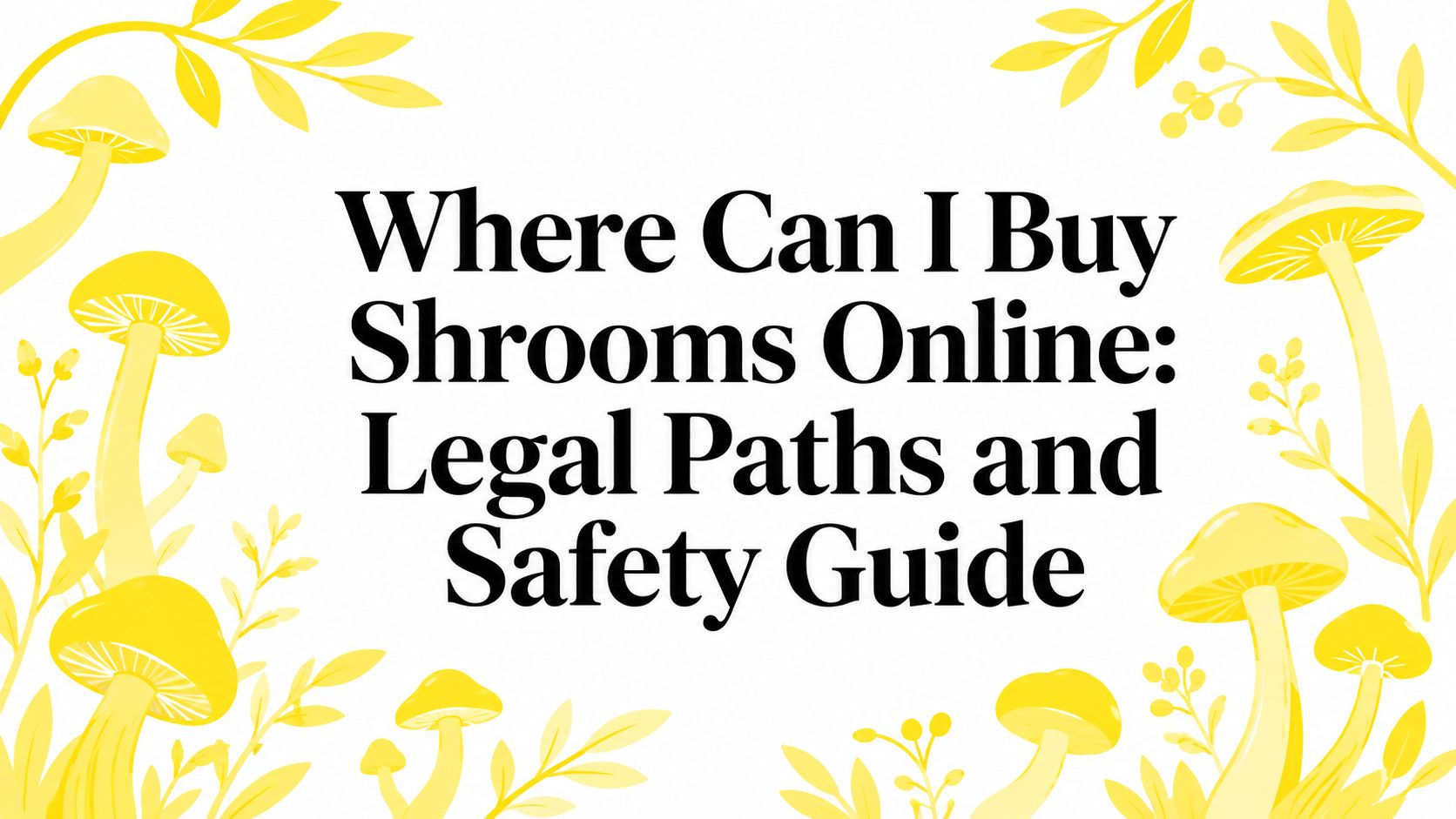 Where Can I Buy Shrooms Online: Legal Paths and Safety Guide