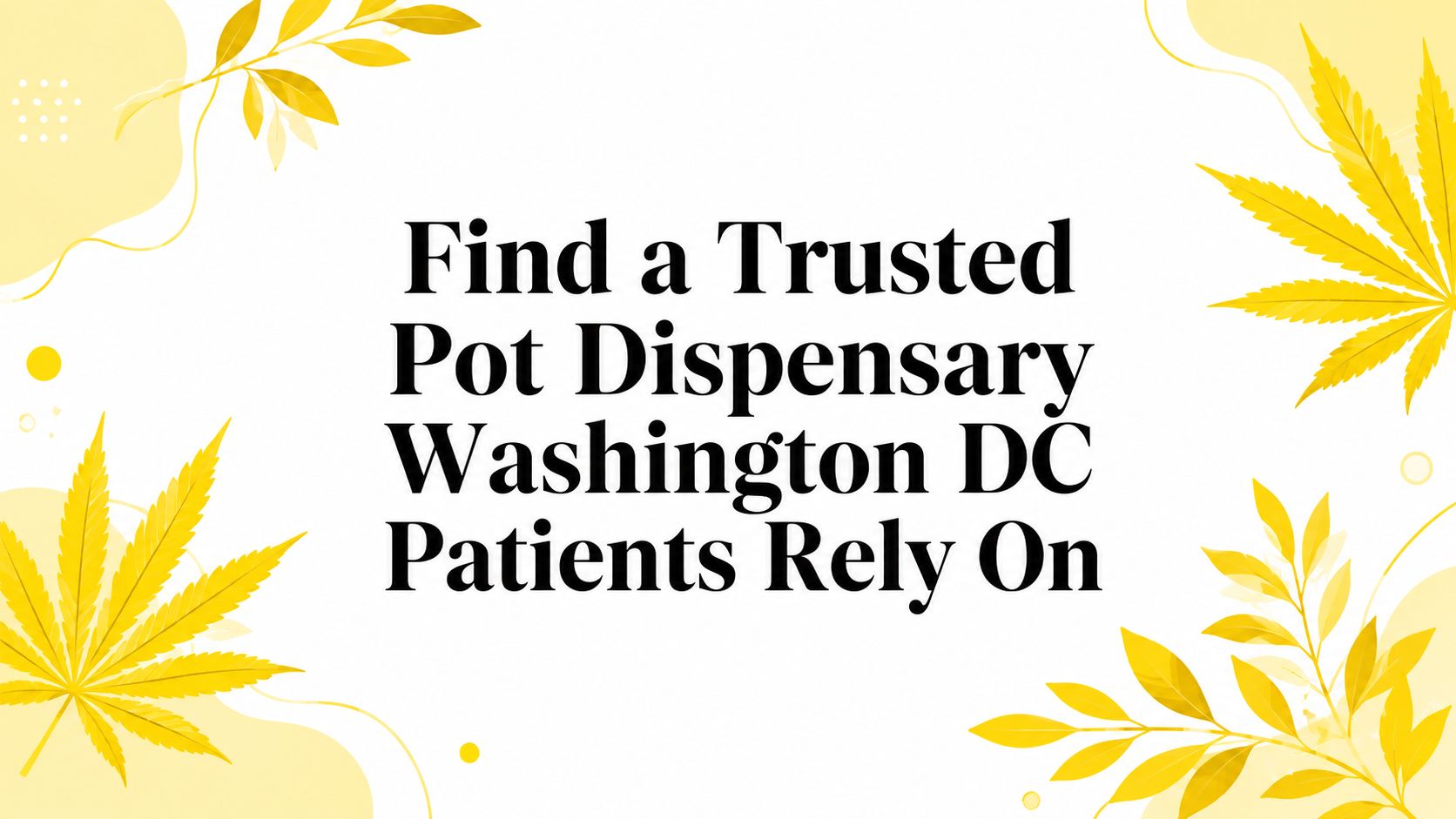Find a Trusted Pot Dispensary Washington DC Patients Rely On
