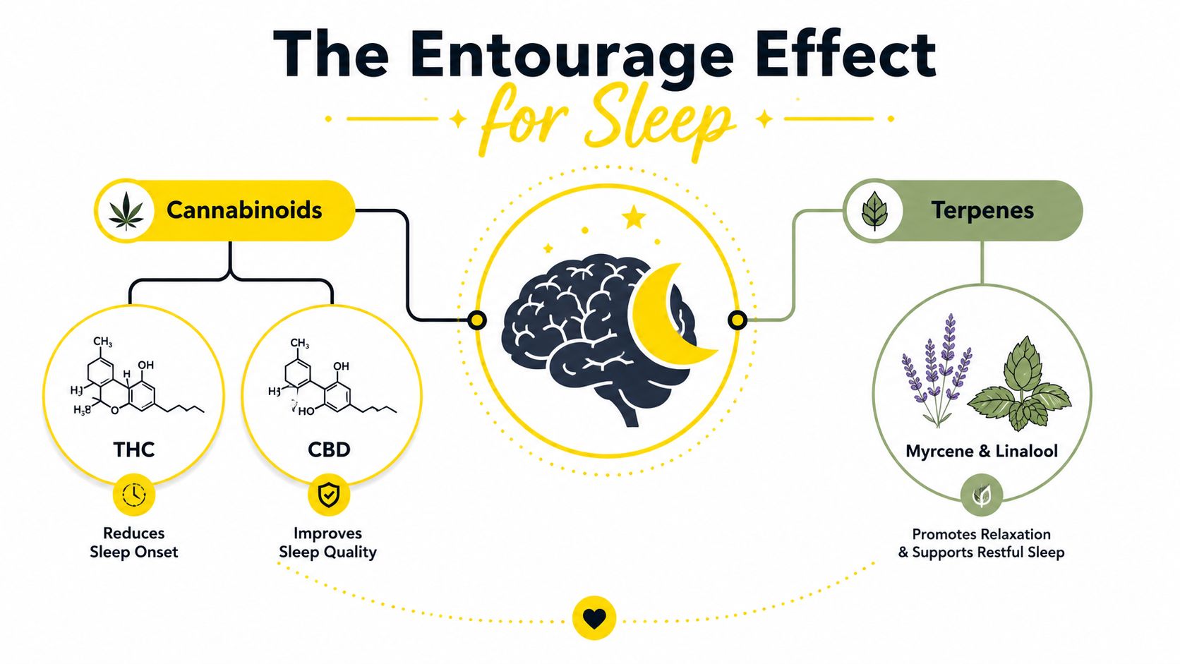 A diagram illustrating the entourage effect for sleep, highlighting how cannabinoids like THC and CBD combined with terpenes promote relaxation.