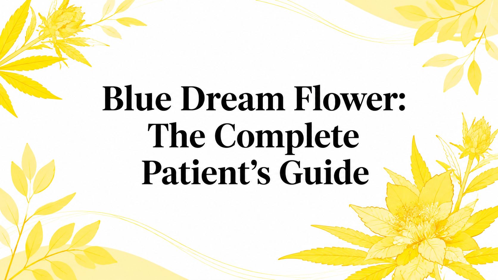 Blue Dream Flower: The Complete Patient's Guide