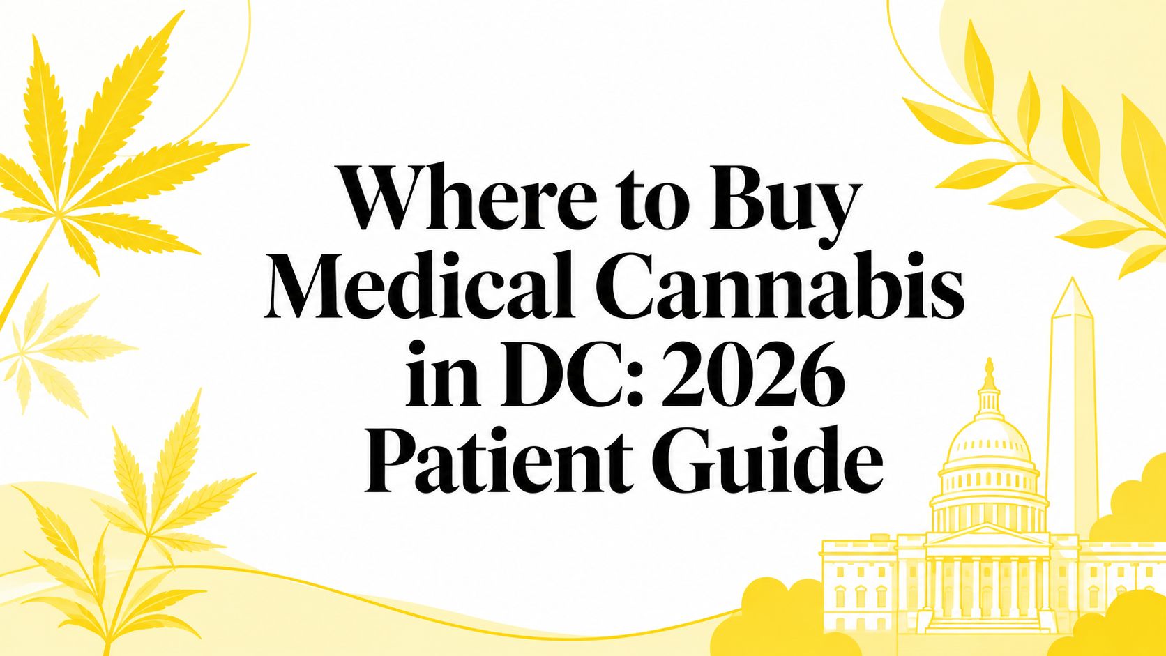 Where to Buy Medical Cannabis in DC: 2026 Patient Guide