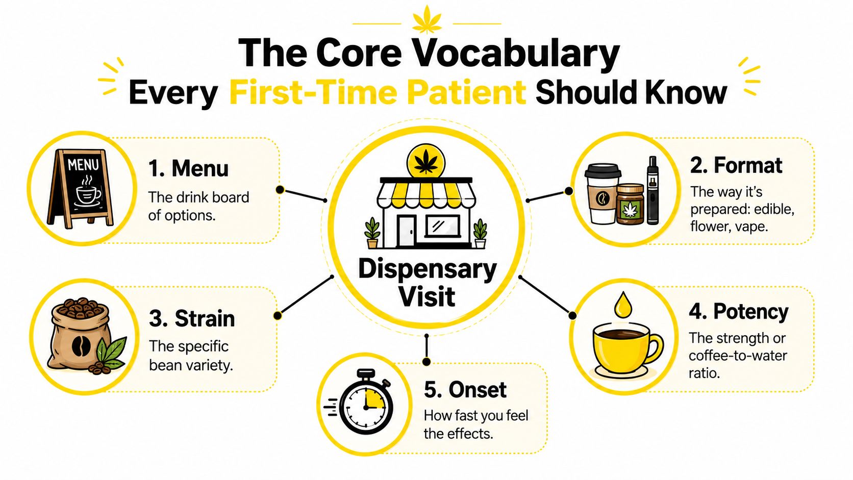 An infographic titled The Core Vocabulary Every First-Time Patient Should Know, explaining five essential dispensary concepts.