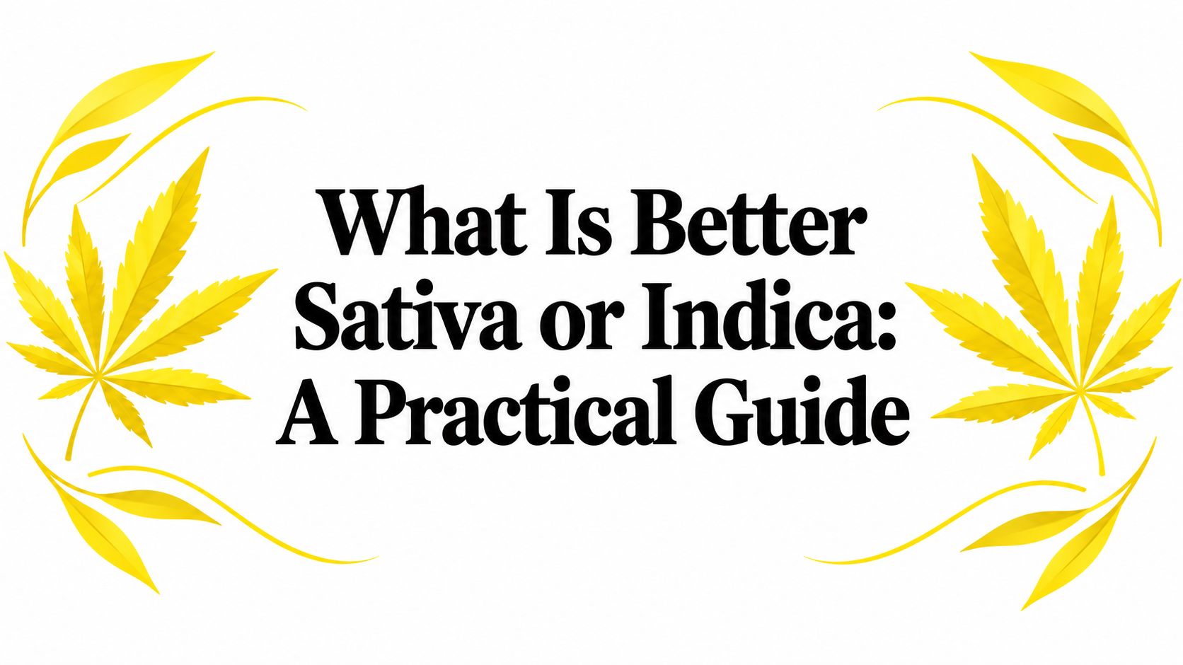 What Is Better Sativa or Indica: A Practical Guide
