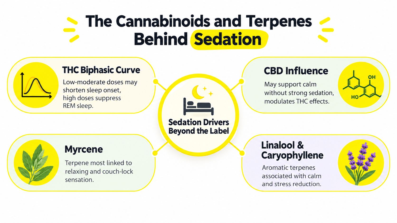 An infographic showing cannabinoids like THC and CBD and terpenes like myrcene, linalool, and caryophyllene that affect sedation.