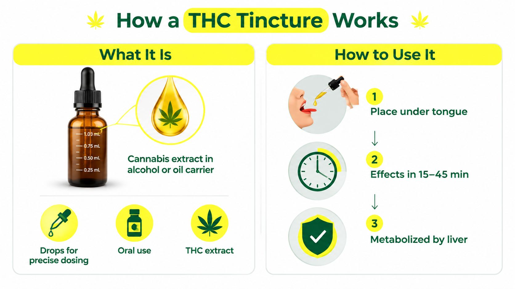 An infographic explaining what a THC tincture is and how to use it for precise dosing.
