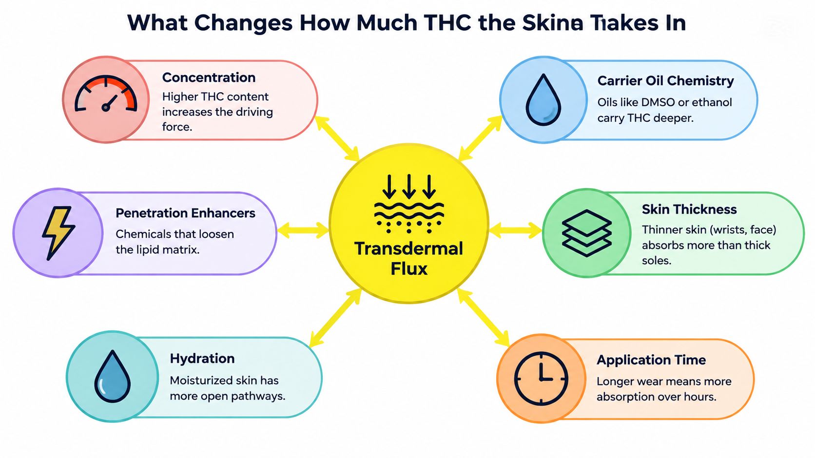 A diagram illustrating factors influencing transdermal THC absorption, including concentration, carrier oils, skin thickness, and hydration.