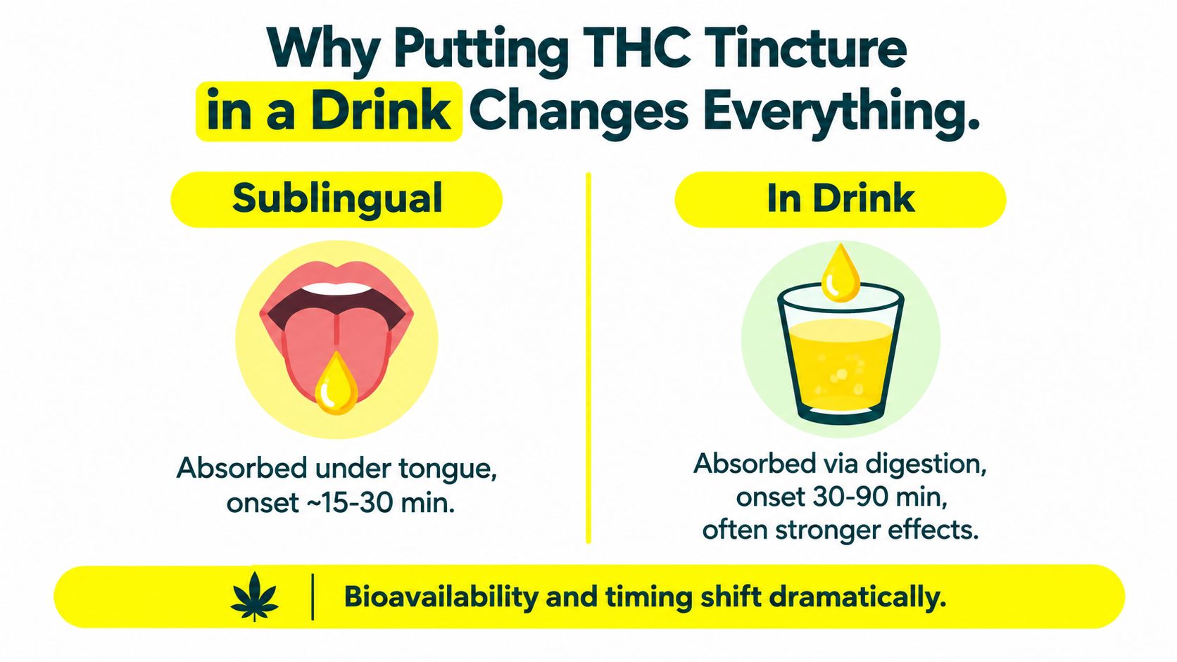 An infographic comparing the absorption methods and effects of taking THC tinctures sublingually versus in a drink.