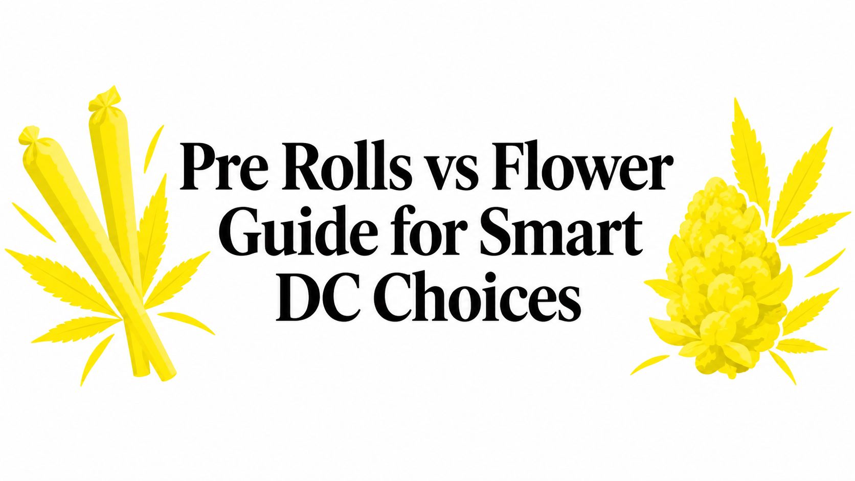 Pre Rolls vs Flower Guide for Smart DC Choices