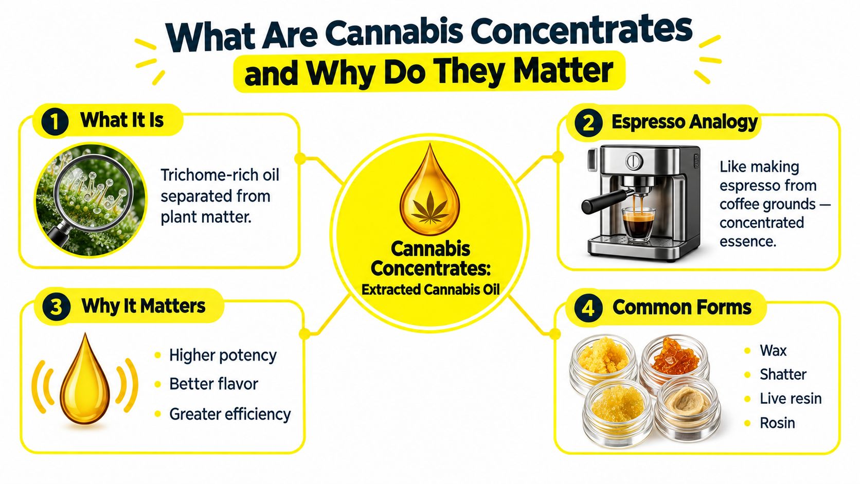An infographic explaining what cannabis concentrates are, including their definition, an espresso analogy, benefits, and common forms.