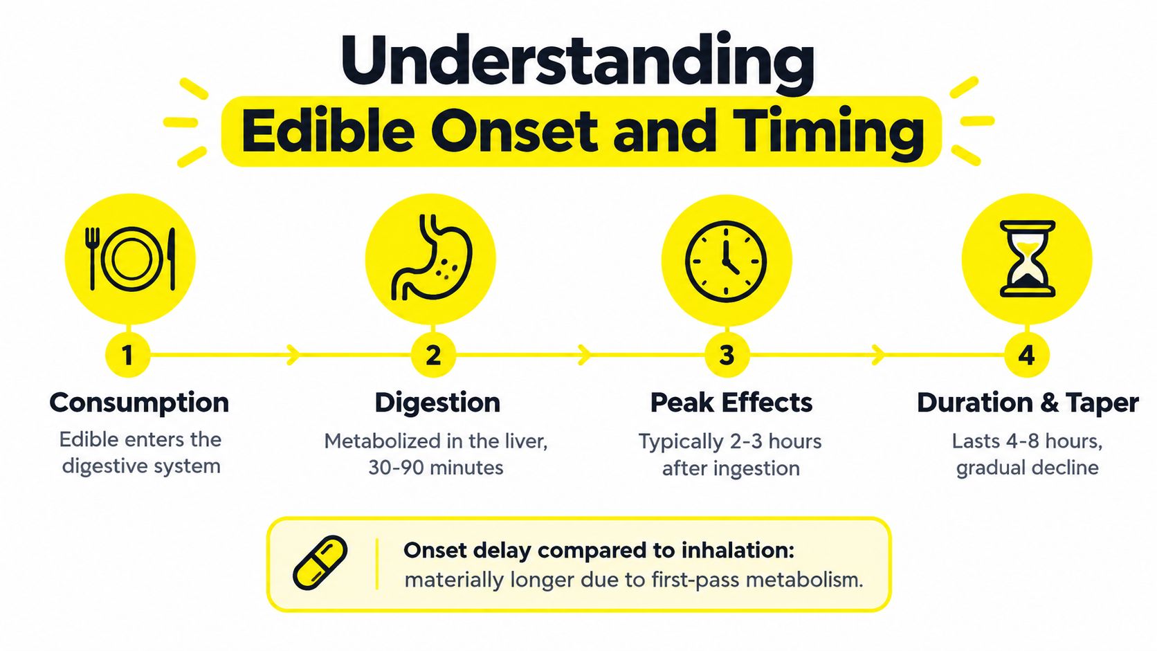 An infographic showing the four-step timeline of edible cannabis digestion, onset, peak effects, and duration.
