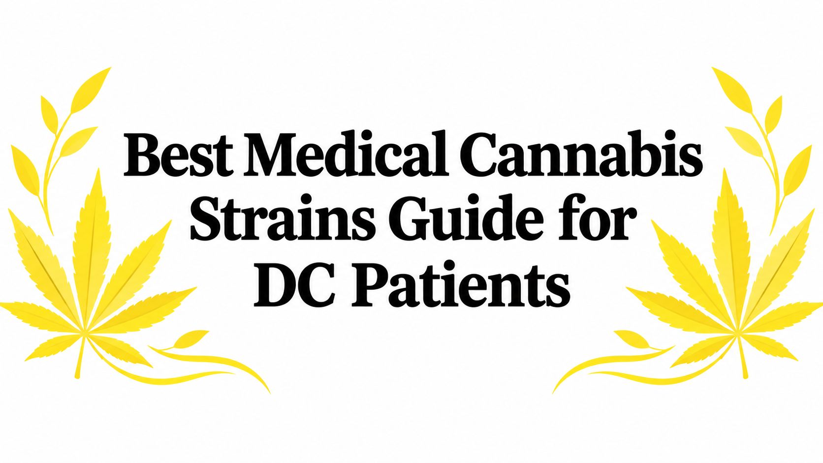 Best Medical Cannabis Strains Guide for DC Patients